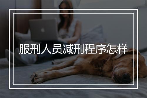 服刑人员减刑程序怎样