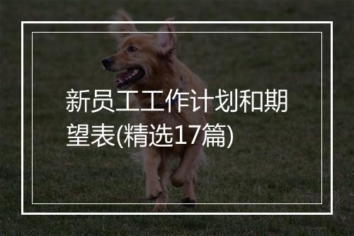 新员工工作计划和期望表(精选17篇)