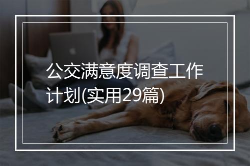 公交满意度调查工作计划(实用29篇)