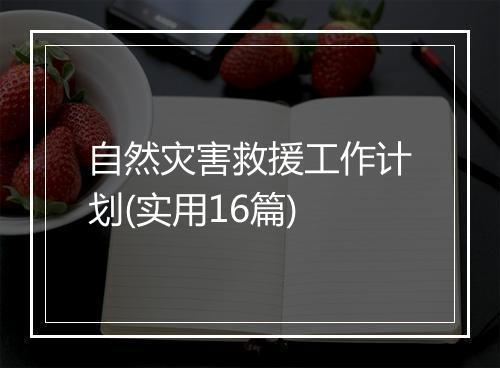 自然灾害救援工作计划(实用16篇)
