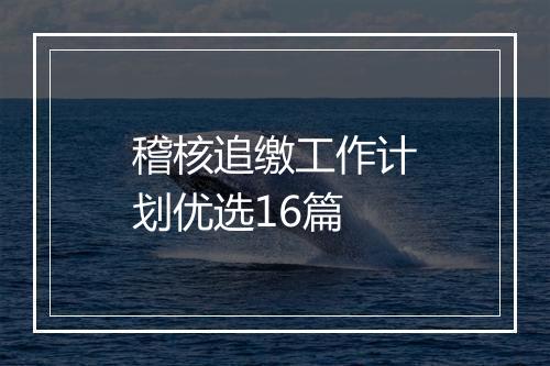 稽核追缴工作计划优选16篇