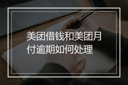 美团借钱和美团月付逾期如何处理