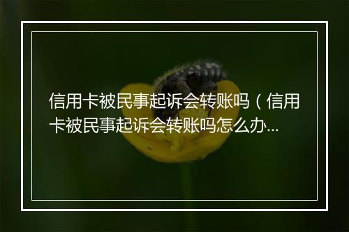 信用卡被民事起诉会转账吗（信用卡被民事起诉会转账吗怎么办）