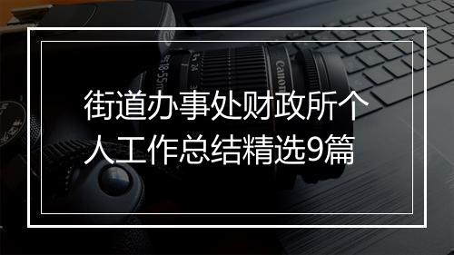 街道办事处财政所个人工作总结精选9篇