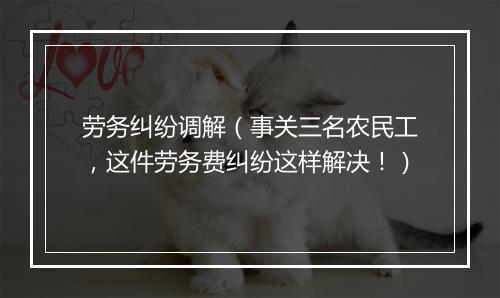 劳务纠纷调解（事关三名农民工，这件劳务费纠纷这样解决！）