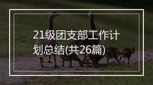 21级团支部工作计划总结(共26篇)