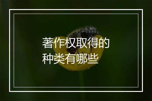 著作权取得的种类有哪些