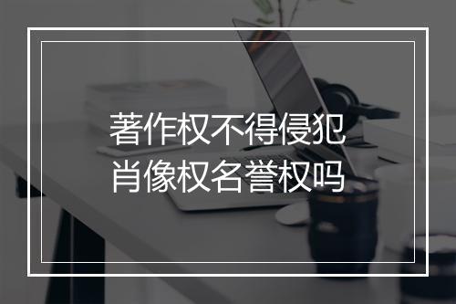 著作权不得侵犯肖像权名誉权吗