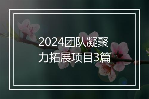 2024团队凝聚力拓展项目3篇