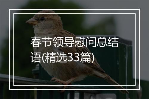 春节领导慰问总结语(精选33篇)