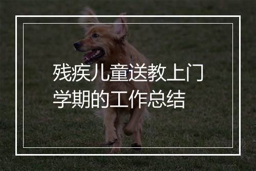 残疾儿童送教上门学期的工作总结