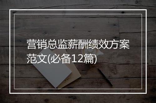 营销总监薪酬绩效方案范文(必备12篇)