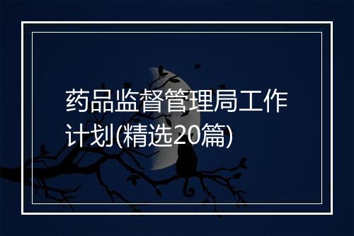 药品监督管理局工作计划(精选20篇)