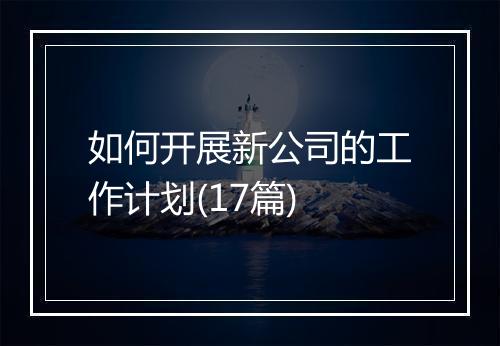 如何开展新公司的工作计划(17篇)
