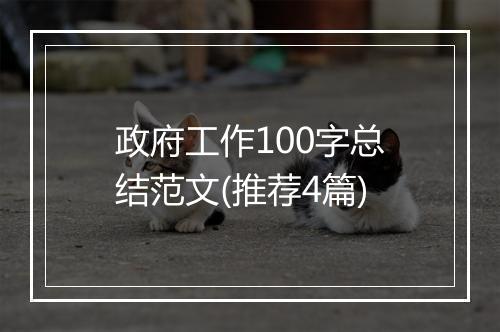 政府工作100字总结范文(推荐4篇)