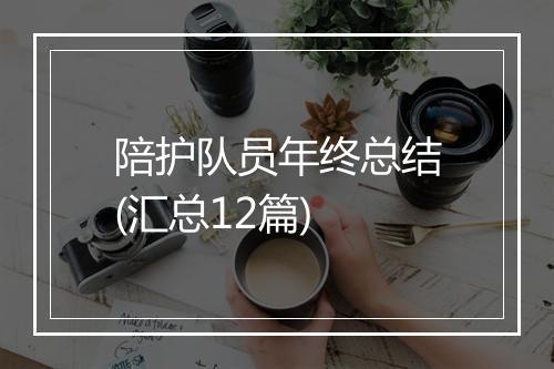 陪护队员年终总结(汇总12篇)