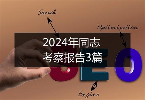 2024年同志考察报告3篇