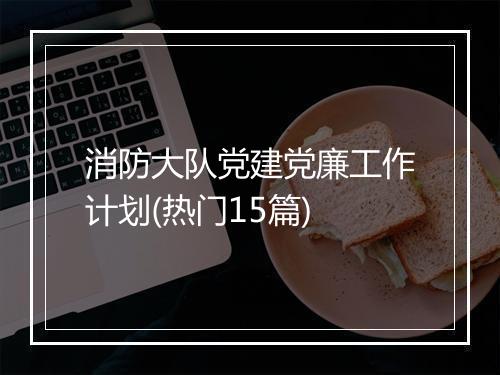 消防大队党建党廉工作计划(热门15篇)
