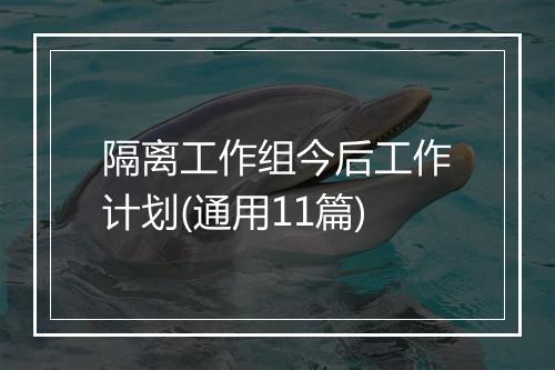 隔离工作组今后工作计划(通用11篇)