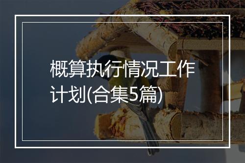 概算执行情况工作计划(合集5篇)