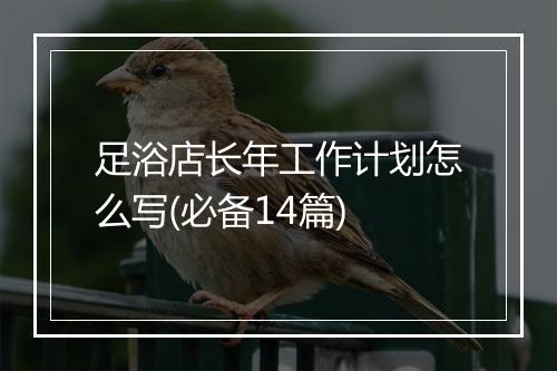 足浴店长年工作计划怎么写(必备14篇)