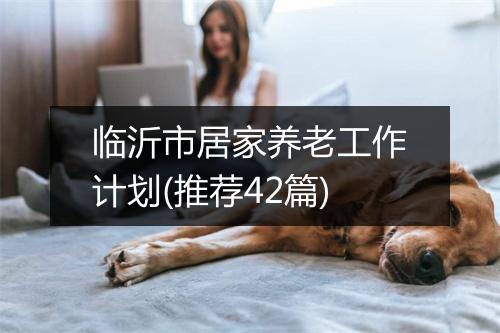 临沂市居家养老工作计划(推荐42篇)