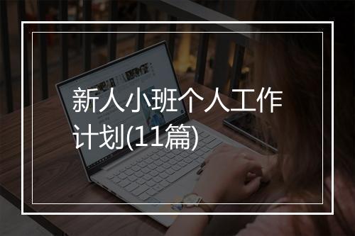 新人小班个人工作计划(11篇)