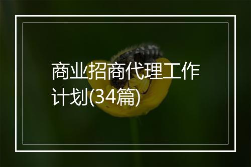 商业招商代理工作计划(34篇)