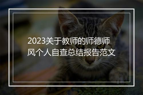 2023关于教师的师德师风个人自查总结报告范文