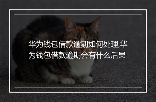 华为钱包借款逾期如何处理,华为钱包借款逾期会有什么后果