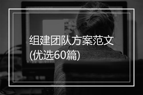 组建团队方案范文(优选60篇)