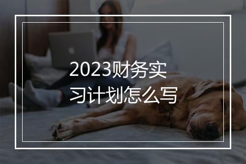 2023财务实习计划怎么写