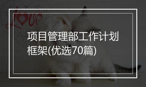 项目管理部工作计划框架(优选70篇)