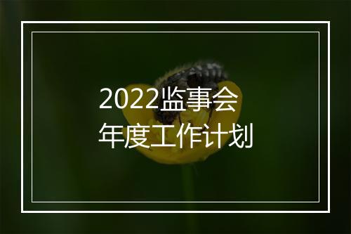 2022监事会年度工作计划