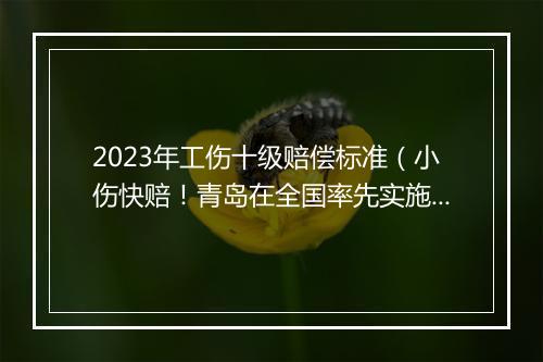 2023年工伤十级赔偿标准（小伤快赔！青岛在全国率先实施新型工伤保障制度）