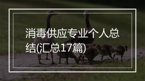 消毒供应专业个人总结(汇总17篇)