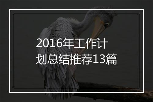2016年工作计划总结推荐13篇