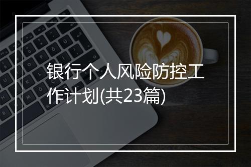 银行个人风险防控工作计划(共23篇)