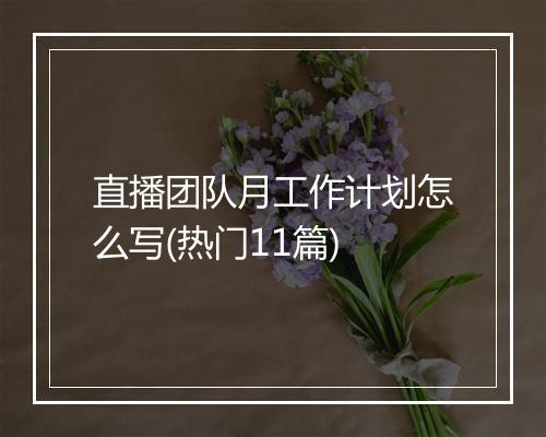 直播团队月工作计划怎么写(热门11篇)