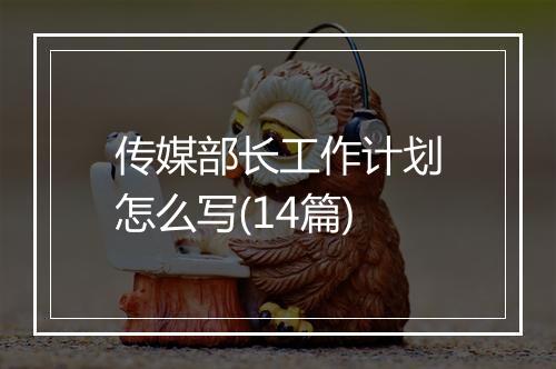 传媒部长工作计划怎么写(14篇)