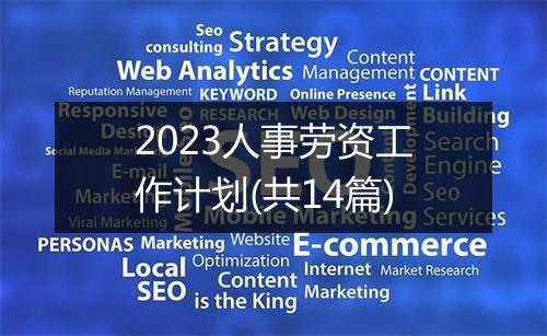 2023人事劳资工作计划(共14篇)