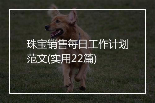 珠宝销售每日工作计划范文(实用22篇)