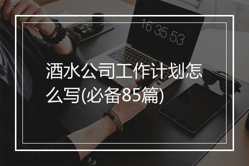 酒水公司工作计划怎么写(必备85篇)