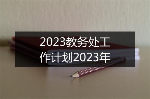 2023教务处工作计划2023年