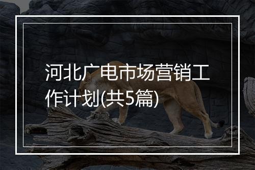 河北广电市场营销工作计划(共5篇)