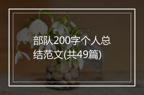 部队200字个人总结范文(共49篇)