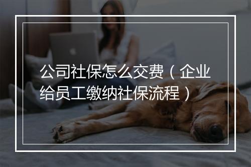 公司社保怎么交费（企业给员工缴纳社保流程）