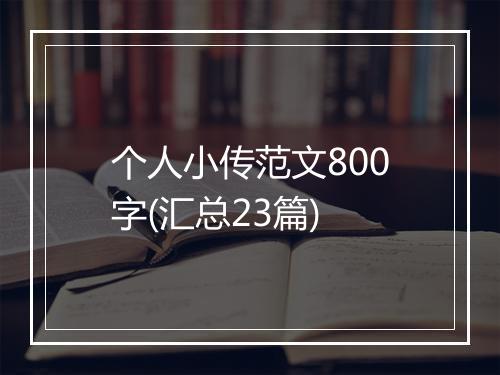 个人小传范文800字(汇总23篇)