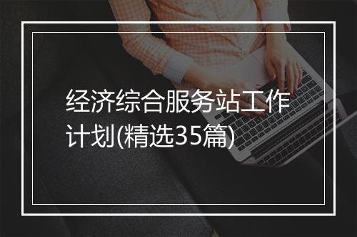 经济综合服务站工作计划(精选35篇)