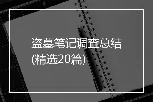 盗墓笔记调查总结(精选20篇)